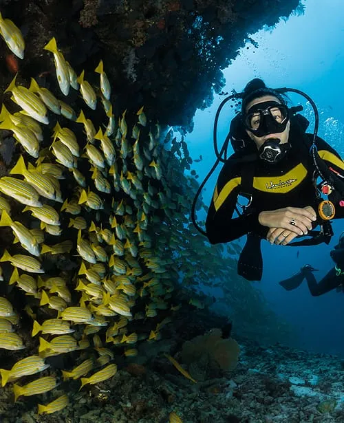 A snorkeler floating over a shallow coral reef in West End, Roatán