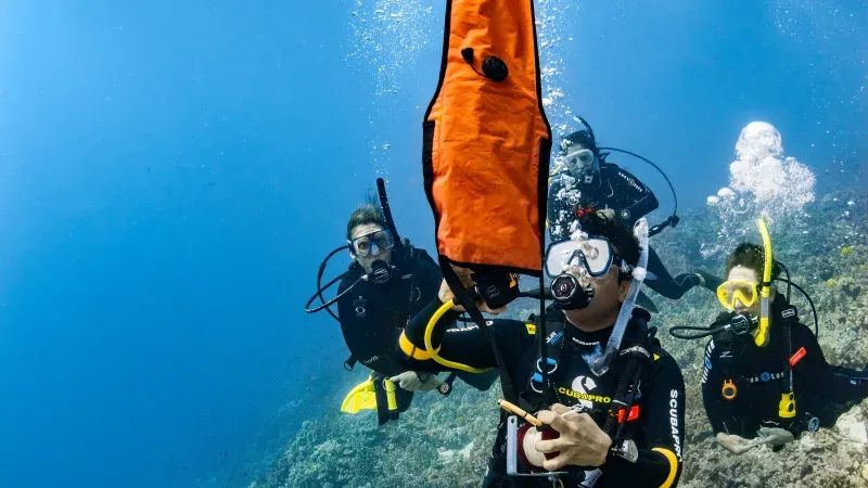 Delayed Surface Marker Buoy (DSMB) Diver