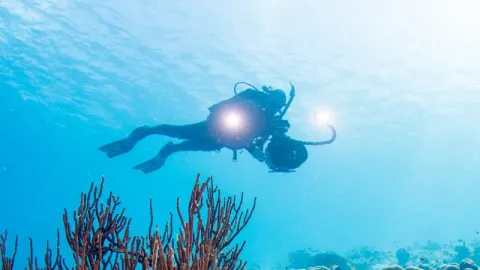 Digital Underwater Photography