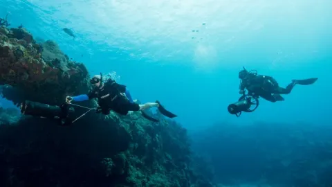 Diver Propulsion Vehicle (DPV) Diver