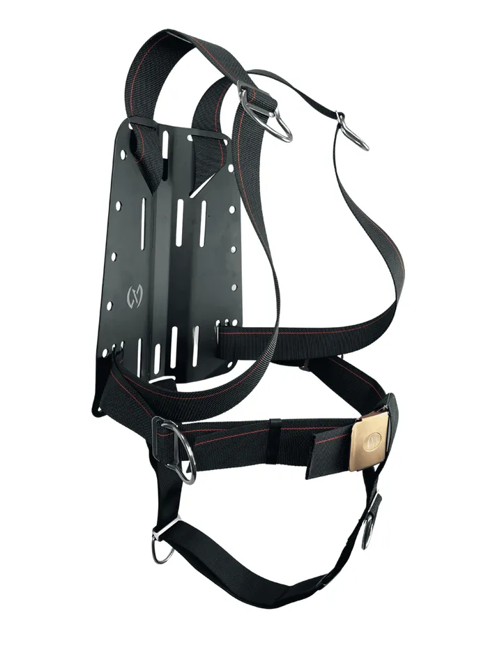 NEX Leatherback backplate-and-wing BCD system, photo 2
