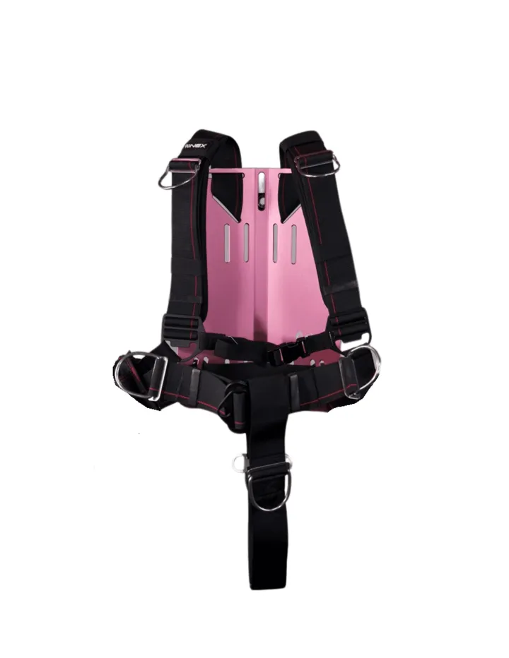 NEX Leatherback backplate-and-wing BCD system, photo 1
