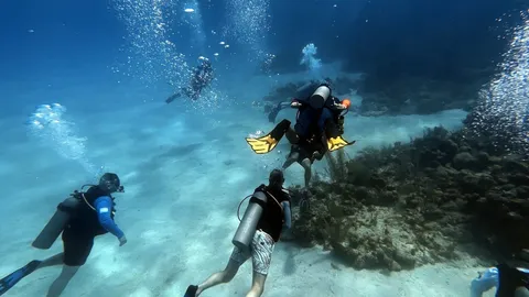 Open Water Diver